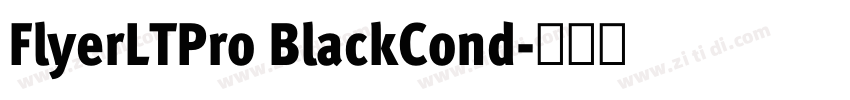 FlyerLTPro BlackCond字体转换 FlyerLTPro BlackCond字体转换